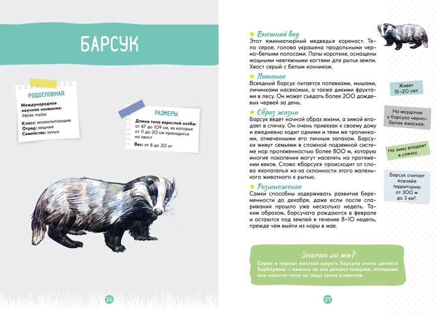 Лесные животные, производитель Махаон , ISBN 978-5-38924-683-6, № 5