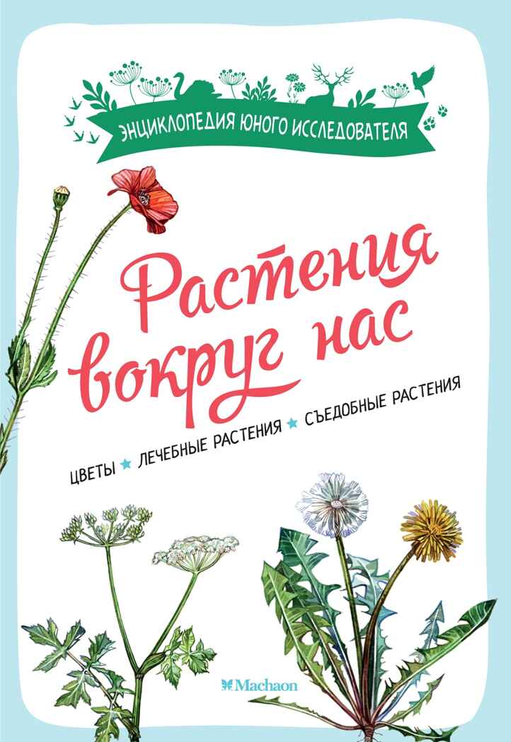 Растения вокруг нас, производитель Махаон , ISBN 978-5-38924-682-9, № 1