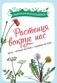 Растения вокруг нас, производитель Махаон , ISBN 978-5-38924-682-9, № 1
