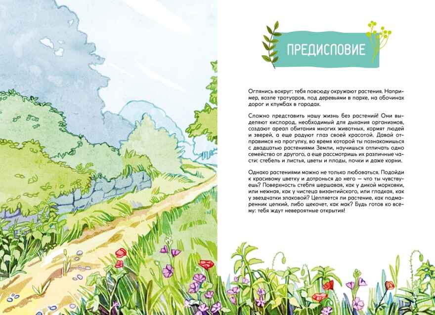 Растения вокруг нас, производитель Махаон , ISBN 978-5-38924-682-9, № 3
