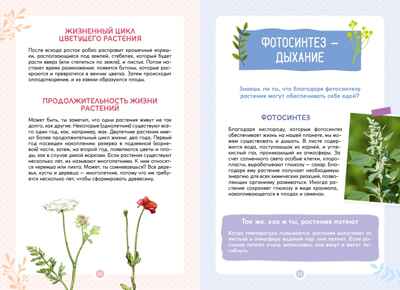 Растения вокруг нас, производитель Махаон , ISBN 978-5-38924-682-9№ 4
