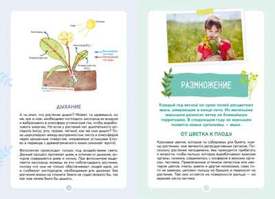 Растения вокруг нас, производитель Махаон , ISBN 978-5-38924-682-9№ 5