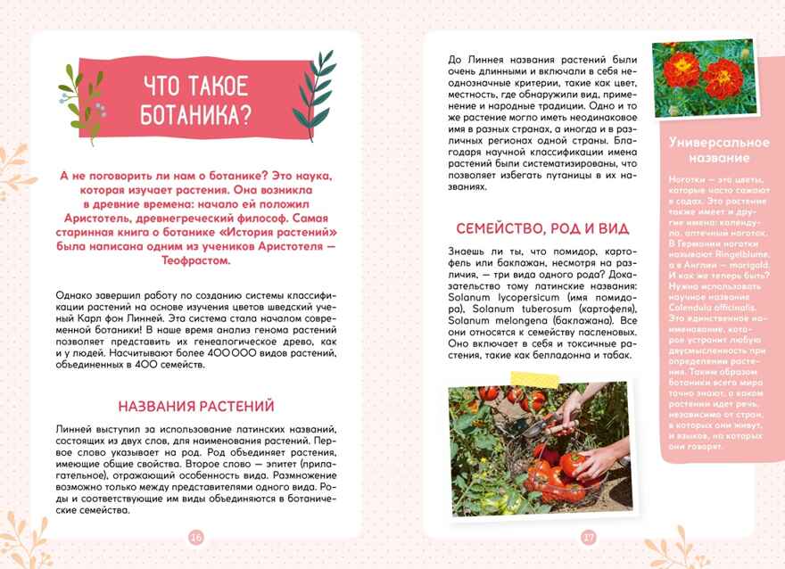 Растения вокруг нас, производитель Махаон , ISBN 978-5-38924-682-9, № 6