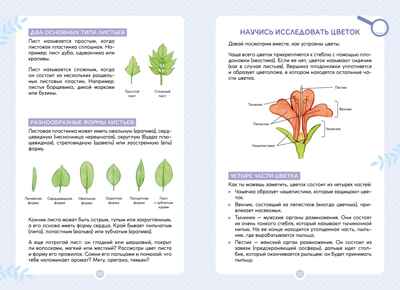 Растения вокруг нас, производитель Махаон , ISBN 978-5-38924-682-9№ 7