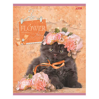 Тетрадь 48 л. Flower Fairy А5 клетка скрепка, в ассортименте, арт. 48Т5блВ1/flower, производитель Hatber (Хатбер), ISBN 460-6-78224-293-3№ 5
