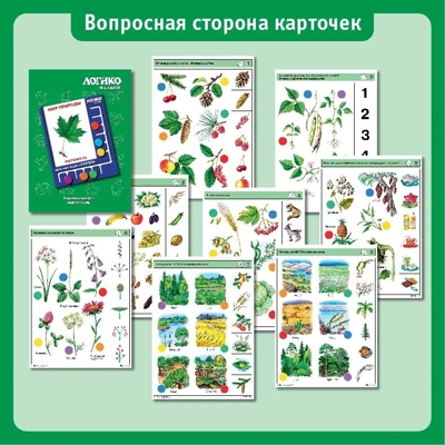 Учебное пособие Логико-Малыш Комплект карточек Растения 1, арт. ЛМ-003, производитель ИД Зимородок, ISBN 978-5-98849-012-8 № 3