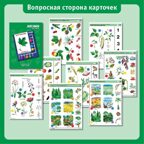Учебное пособие Логико-Малыш Комплект карточек Растения 1, арт. ЛМ-003, производитель ИД Зимородок, ISBN 978-5-98849-012-8, № 3