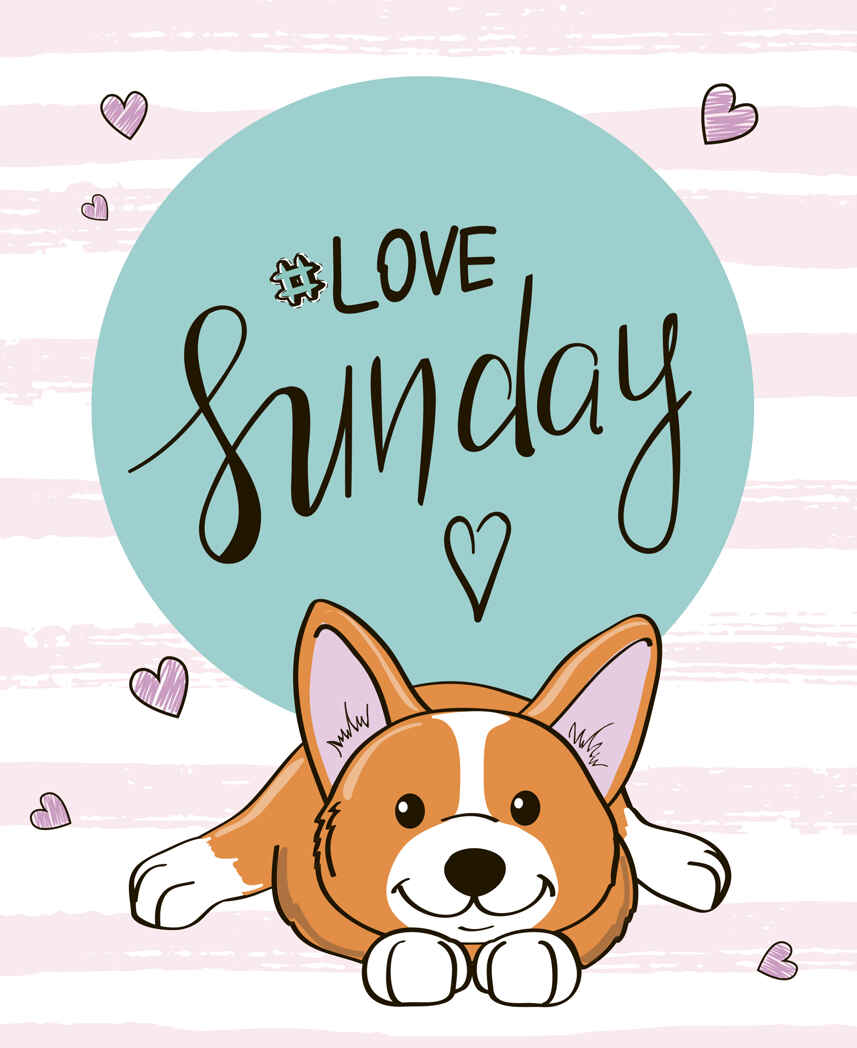 Блокнот позитивного настроения. LOVE SUNDAY, производитель Malamalama (Маламалама), ISBN 462-7-13168-947-6, № 1