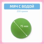 Мяч с водой 250 гр, производитель "Интернет Проекты", ISBN 200-9-46939-199-3, № 1