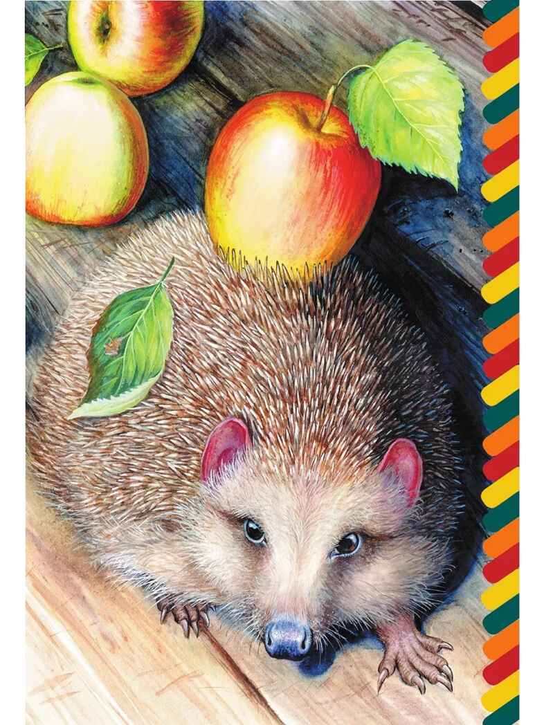 Еж, производитель АСТ , ISBN 978-5-17161-663-2, № 3