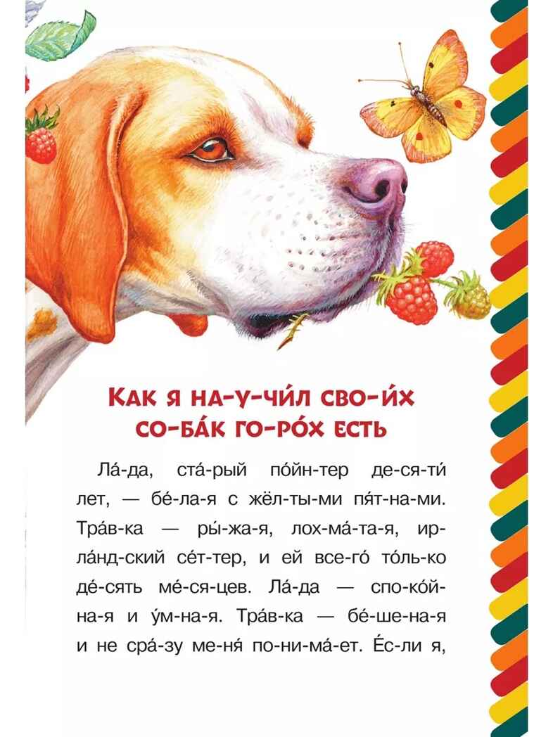 Еж, производитель АСТ , ISBN 978-5-17161-663-2, № 4