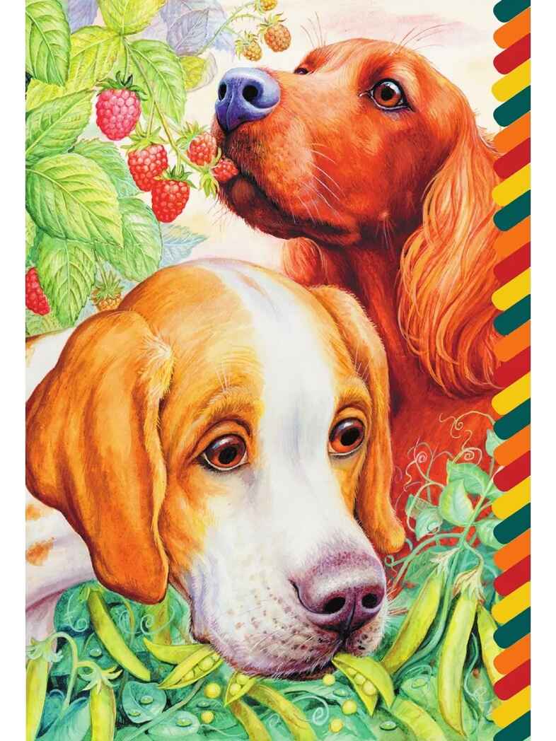 Еж, производитель АСТ , ISBN 978-5-17161-663-2, № 5