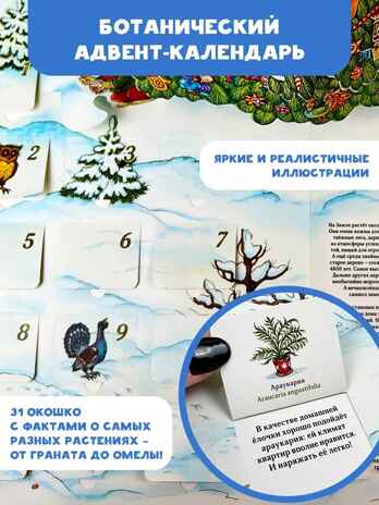 Адвент-календарь. Новогодняя ботаника: прогулка по зимнему лесу, производитель АСТ , ISBN 978-5-17112-985-9№ 3