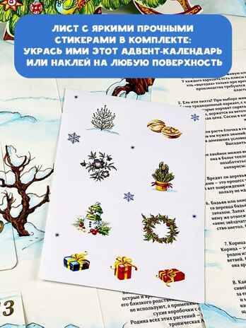 Адвент-календарь. Новогодняя ботаника: прогулка по зимнему лесу, производитель АСТ , ISBN 978-5-17112-985-9№ 6