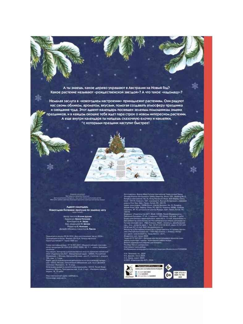 Адвент-календарь. Новогодняя ботаника: прогулка по зимнему лесу, производитель АСТ , ISBN 978-5-17112-985-9, № 7