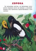 Сорочьи сказки. Толстой А. Библиотека детского сада, производитель Проф-Пресс , ISBN 978-5-37831-359-4, № 2