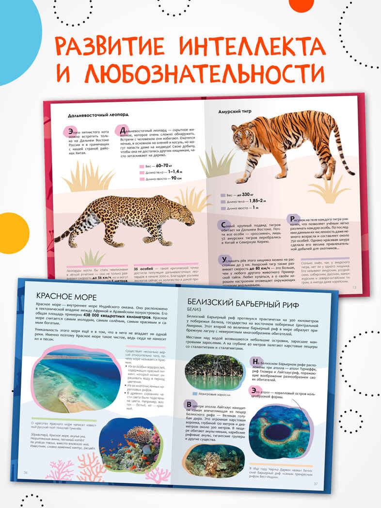 Детская энциклопедия. Набор их 6 книг, производитель МОЗАИКА kids , ISBN 978-5-43154-492-7, № 11
