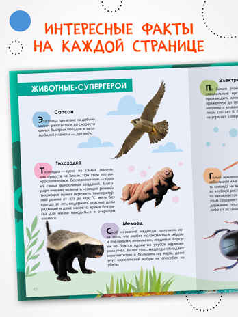 Детская энциклопедия. Набор их 6 книг, производитель МОЗАИКА kids , ISBN 978-5-43154-492-7№ 7