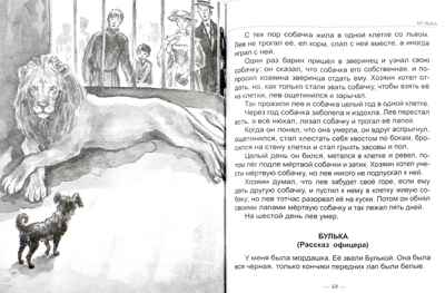 Сказки, рассказы, повести. Толстой Л. Н. Школьная библиотека, производитель Проф-Пресс , ISBN 978-5-37826-868-9№ 4