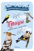 Птицы, производитель Махаон , ISBN 978-5-38924-687-4, № 1
