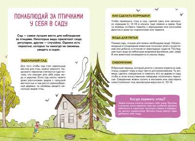 Птицы, производитель Махаон , ISBN 978-5-38924-687-4№ 3