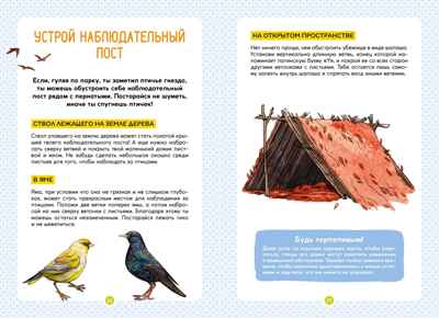 Птицы, производитель Махаон , ISBN 978-5-38924-687-4№ 6