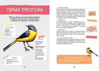 Птицы, производитель Махаон , ISBN 978-5-38924-687-4№ 7