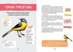 Птицы, производитель Махаон , ISBN 978-5-38924-687-4, № 7