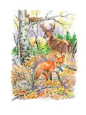 Кто живёт в лесу?, производитель АСТ , ISBN 978-5-17159-909-6, № 5