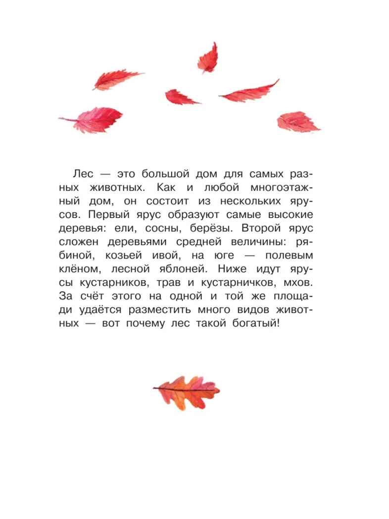 Кто живёт в лесу?, производитель АСТ , ISBN 978-5-17159-909-6, № 6