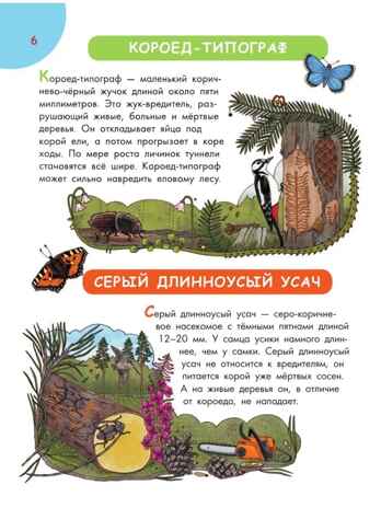 Первая энциклопедия почемучки. Мир вокруг: животные, насекомые, грибы и ягоды, цветы и растения, производитель АСТ , ISBN 978-5-17157-368-3№ 4