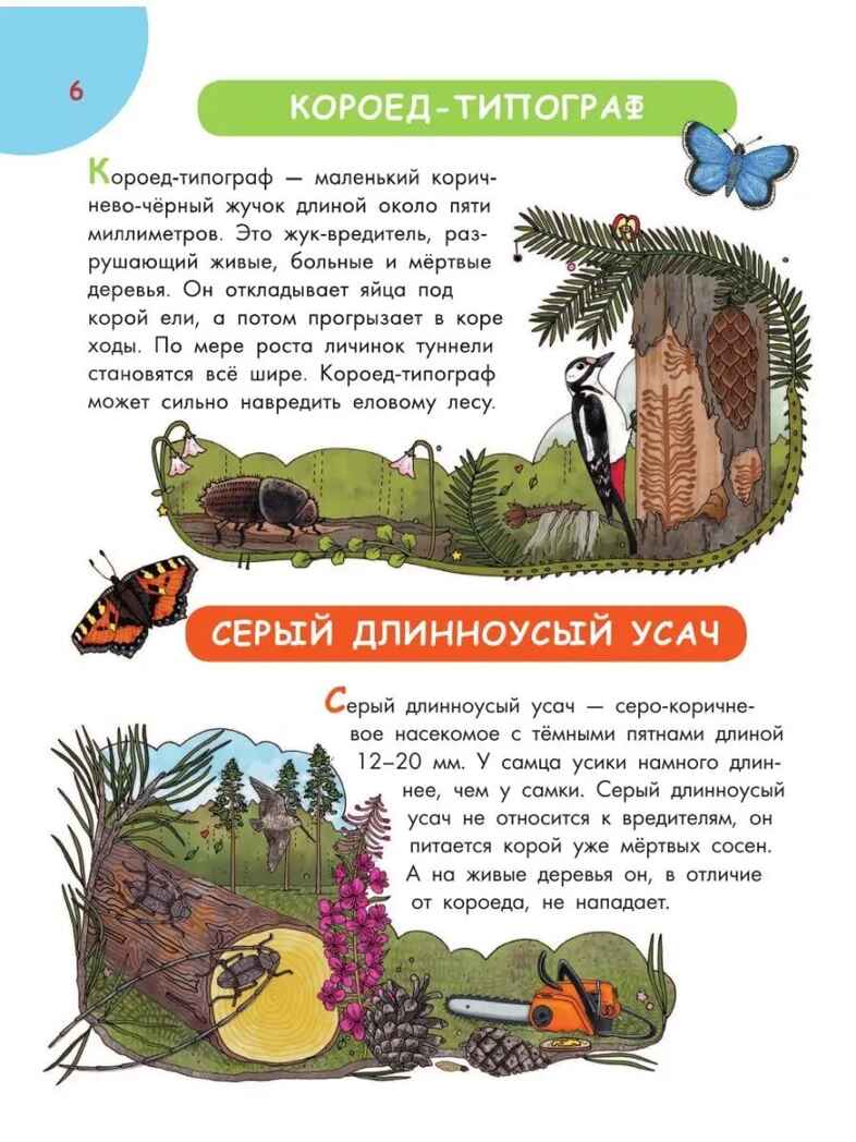 Первая энциклопедия почемучки. Мир вокруг: животные, насекомые, грибы и ягоды, цветы и растения, производитель АСТ , ISBN 978-5-17157-368-3, № 4