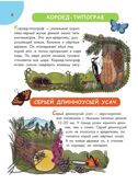Первая энциклопедия почемучки. Мир вокруг: животные, насекомые, грибы и ягоды, цветы и растения, производитель АСТ , ISBN 978-5-17157-368-3, № 4