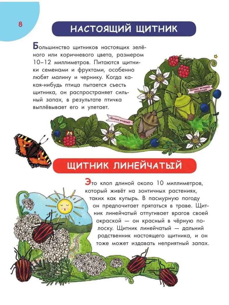 Первая энциклопедия почемучки. Мир вокруг: животные, насекомые, грибы и ягоды, цветы и растения, производитель АСТ , ISBN 978-5-17157-368-3, № 6