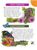 Первая энциклопедия почемучки. Мир вокруг: животные, насекомые, грибы и ягоды, цветы и растения, производитель АСТ , ISBN 978-5-17157-368-3, № 7