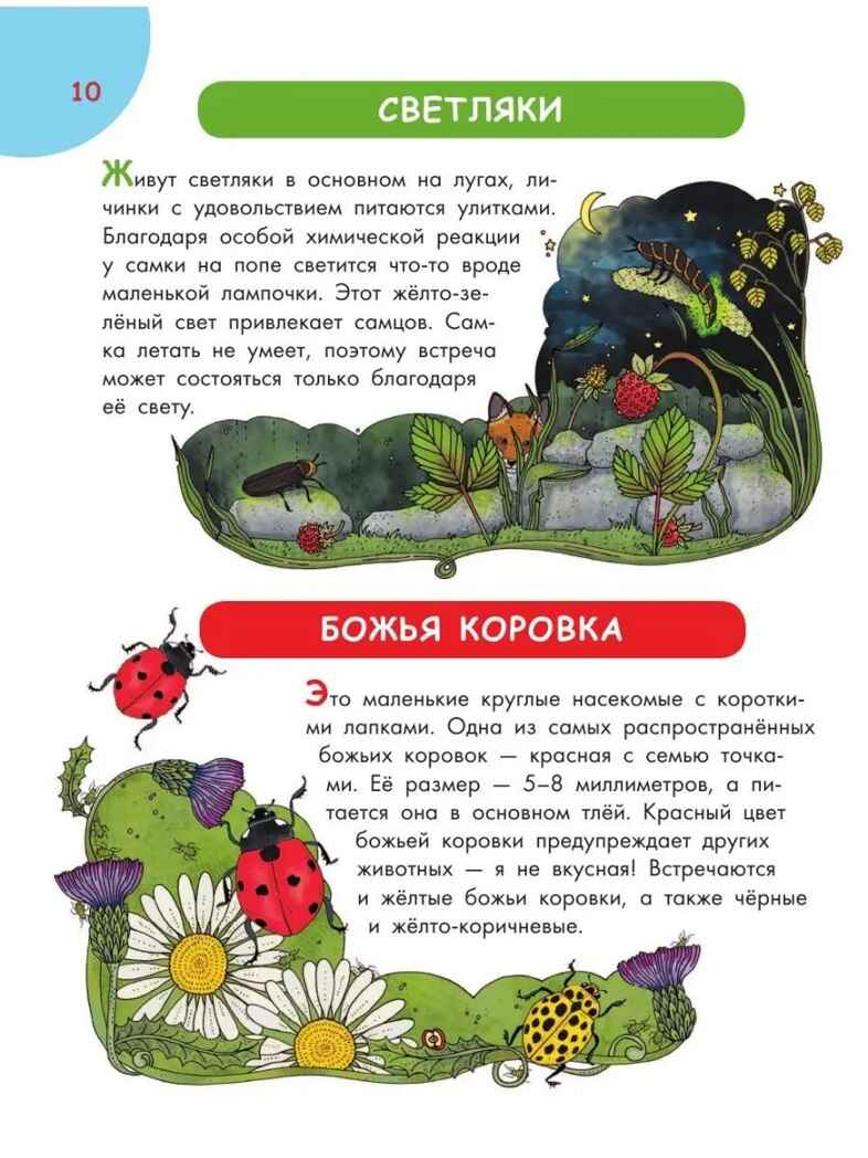 Первая энциклопедия почемучки. Мир вокруг: животные, насекомые, грибы и ягоды, цветы и растения, производитель АСТ , ISBN 978-5-17157-368-3, № 8