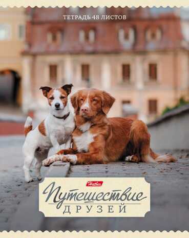 Тетрадь 48 л. Путешествие друзей А5 клетка, скрепка, в ассортименте, арт. 48Т5В1_ПУ*, производитель Hatber (Хатбер), ISBN 460-6-78227-462-0№ 1