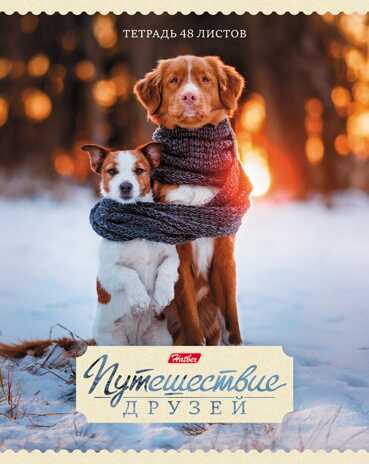 Тетрадь 48 л. Путешествие друзей А5 клетка, скрепка, в ассортименте, арт. 48Т5В1_ПУ*, производитель Hatber (Хатбер), ISBN 460-6-78227-462-0№ 2