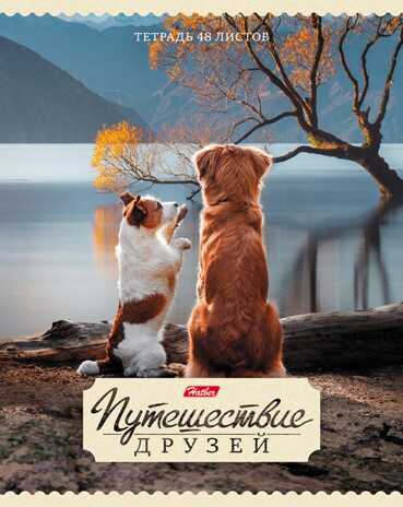 Тетрадь 48 л. Путешествие друзей А5 клетка, скрепка, в ассортименте, арт. 48Т5В1_ПУ*, производитель Hatber (Хатбер), ISBN 460-6-78227-462-0№ 3