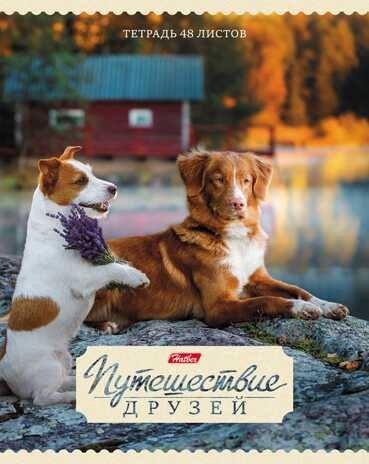 Тетрадь 48 л. Путешествие друзей А5 клетка, скрепка, в ассортименте, арт. 48Т5В1_ПУ*, производитель Hatber (Хатбер), ISBN 460-6-78227-462-0№ 5