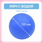 Мяч с водой 1000 гр, производитель "Интернет Проекты", ISBN 200-9-46939-201-3, № 1