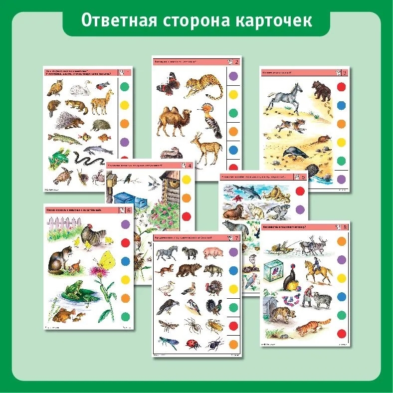 Учебное пособие Логико-Малыш Комплект карточек Животные 1, арт. ЛМ-001, производитель ИД Зимородок, ISBN 978-5-98849-014-2, № 4