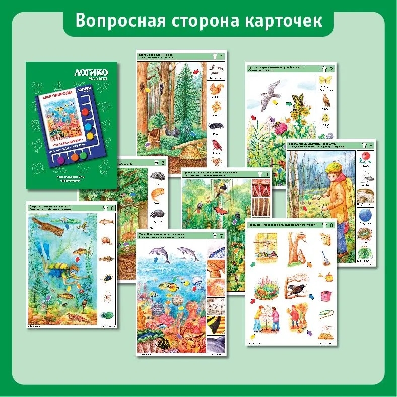 Учебное пособие Логико-Малыш Комплект карточек Кто с кем дружит, арт. ЛМ-006, производитель ИД Зимородок, ISBN 978-5-98849-018-0, № 4