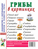 Грибы в картинках. Наглядное пособие для воспитателей, логопедов, педагогов, родителей., производитель Гном , ISBN 978-5-00160-768-7, № 1