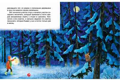 Новогодние сказки. 10 сказок., производитель Проф-Пресс , ISBN 978-5-37835-127-5№ 4