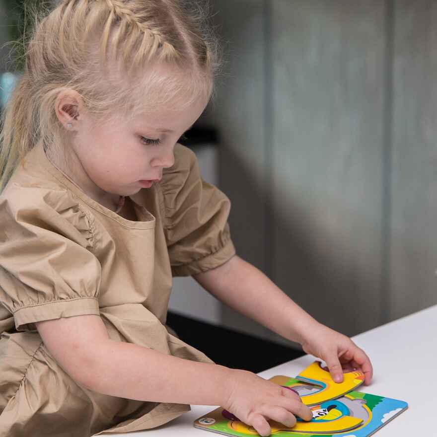 Пазл-сортер "Машинка", производитель Я РАСТУ ТОЙЗ, ISBN 482-0-19824-297-8, № 5