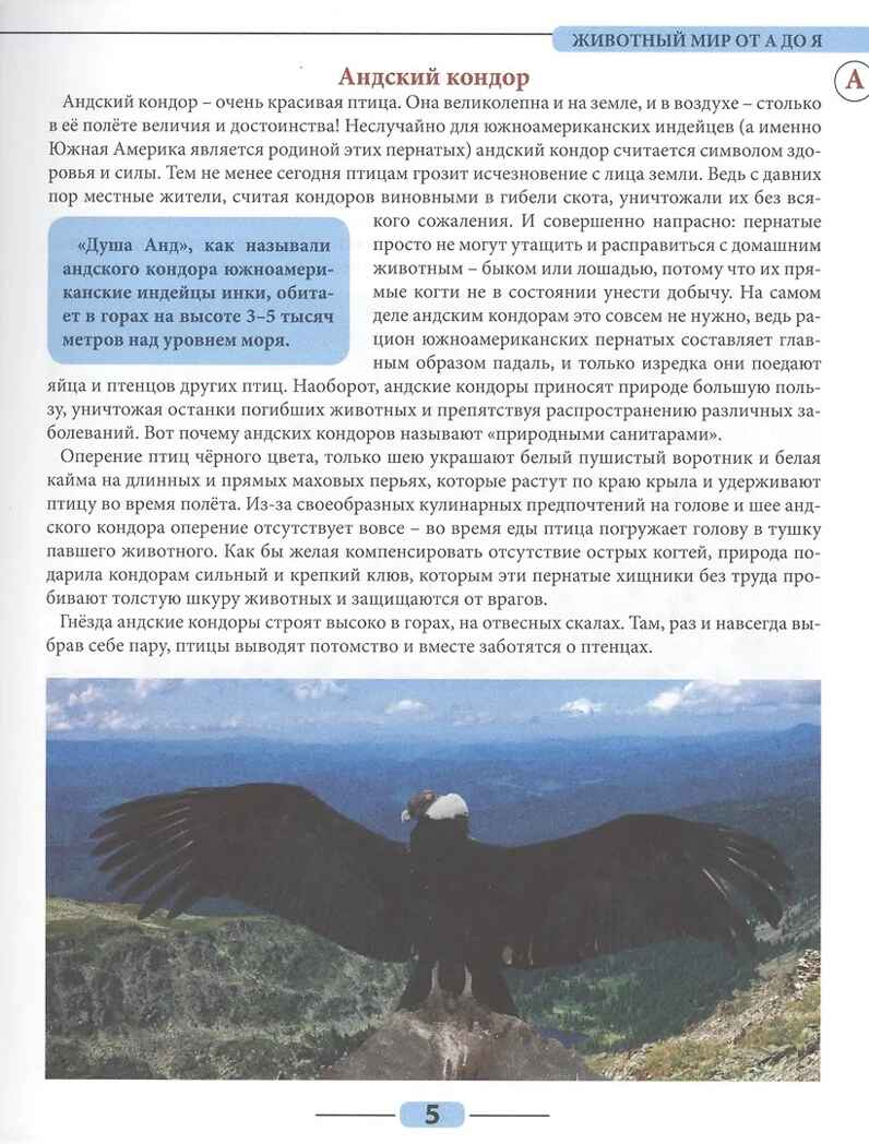 Животный мир от А до Я. Лучшая детская энциклопедия, производитель Проф-Пресс , ISBN 978-5-37834-645-5, № 4