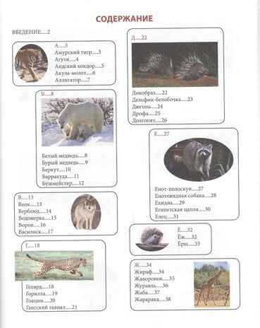Животный мир от А до Я. Лучшая детская энциклопедия, производитель Проф-Пресс , ISBN 978-5-37834-645-5№ 5