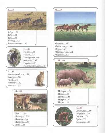 Животный мир от А до Я. Лучшая детская энциклопедия, производитель Проф-Пресс , ISBN 978-5-37834-645-5№ 6