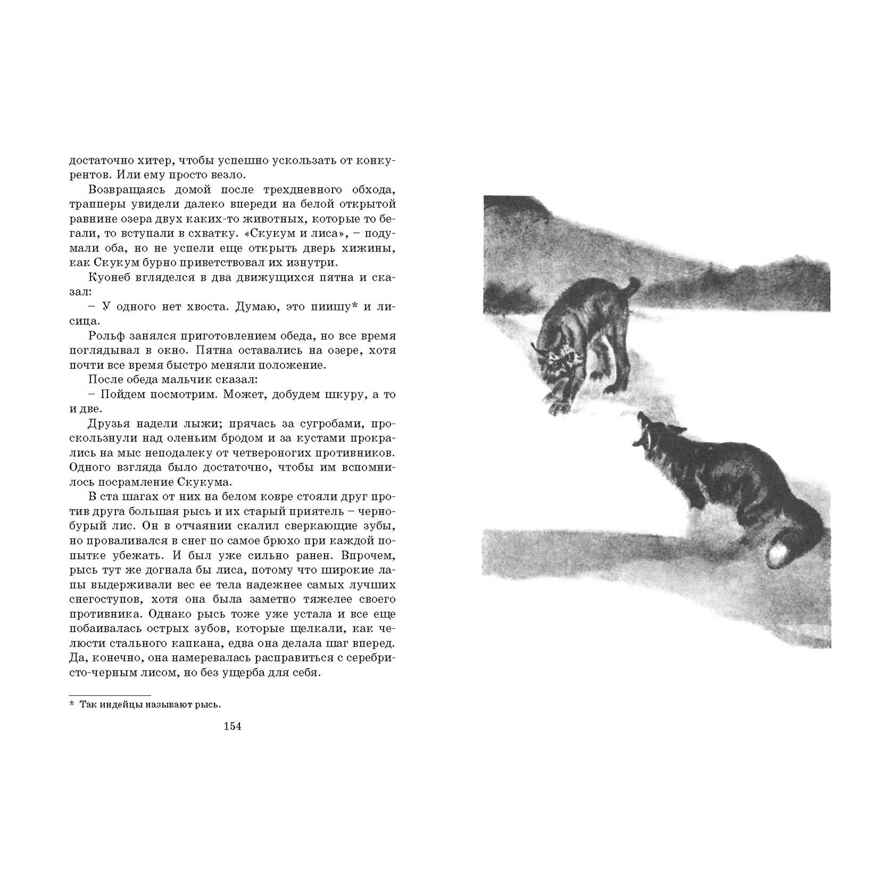 Рольф в лесах. Сетон-Томпсон Э. Мировая книжка, производитель ЭНАС-КНИГА , ISBN 978-5-91921-838-8, № 4
